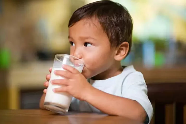 Susu UHT vs Formula, Mana yang tersebut mana Lebih Baik untuk si Kecil yang mana dimaksud Sudah Disapih?