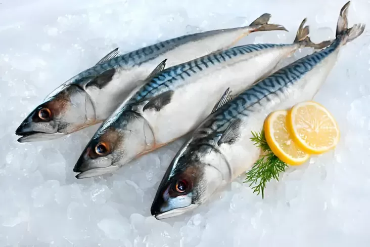 8 Ikan yang dimaksud Boleh Dimakan Penderita Asam Urat berikutnya Kolesterol