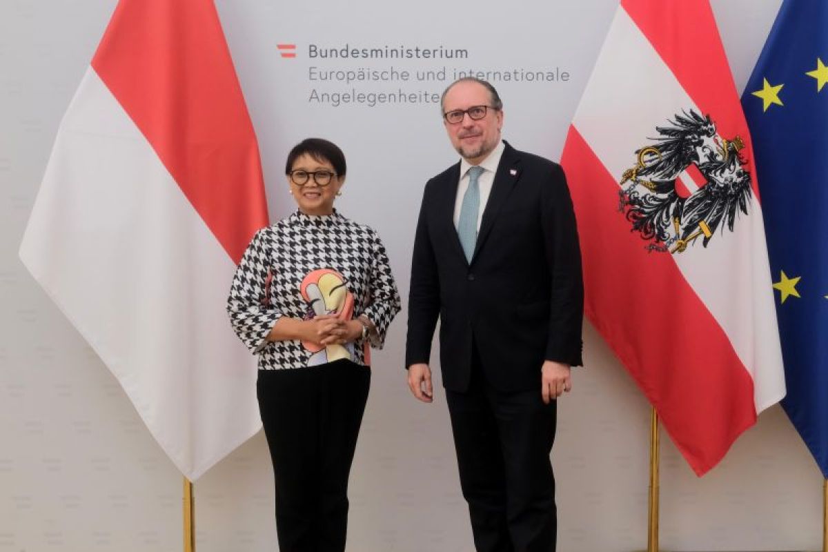 Nusantara ajak Austria pertimbangkan pengakuan Negara Palestina