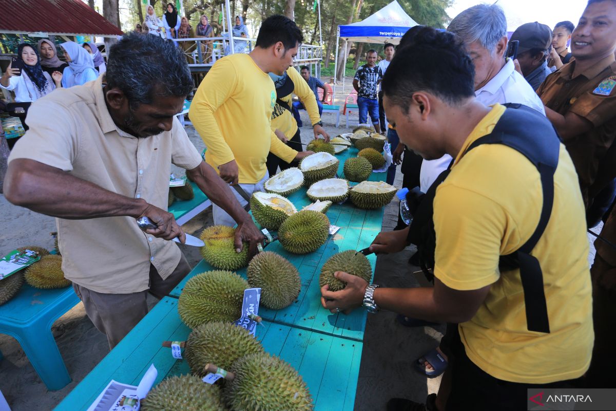 Negara Tanah Air bidik ekspor durian senilai 8 miliar dolar Amerika Serikat ke China