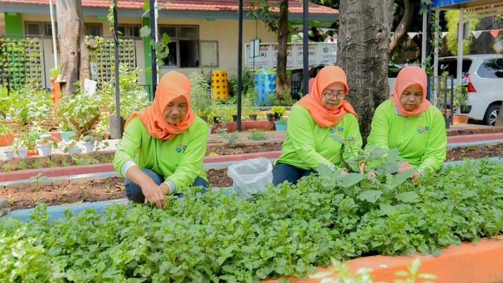 BRINita Bantu Komunitas Tani Ini adalah adalah Ubah Lahan Terbengkalai Jadi Produktif